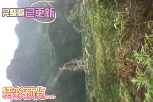 【野外偷情】留守少妇耐不住寂寞，与炮友爬山野战，真TM刺激，浪叫不止，差点被发现  背景图片