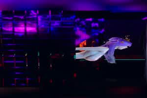 猎奇动画云流天穹好恶  背景图片