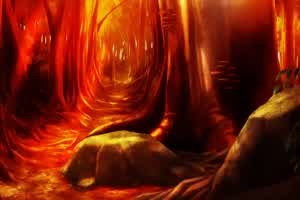 欢迎来到浪荡精灵之林 2  背景图片