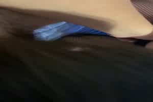 小母狗口活  背景图片