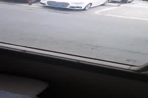 车震豹纹女  背景图片