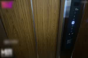 麻豆传媒 遭遇调教女王  背景图片