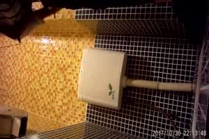 卫生间偷拍颜值极美的商场导购如厕，白虎嫩逼不错不错  背景图片