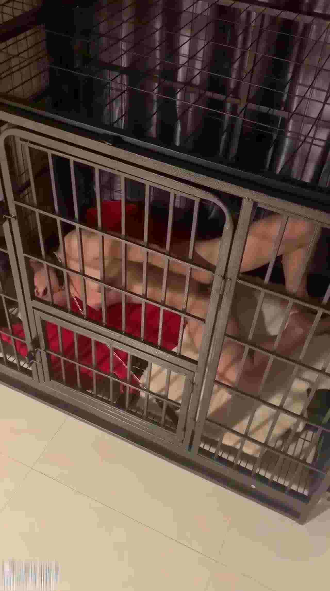  性奴养成记关在笼子小公主 的剧照1