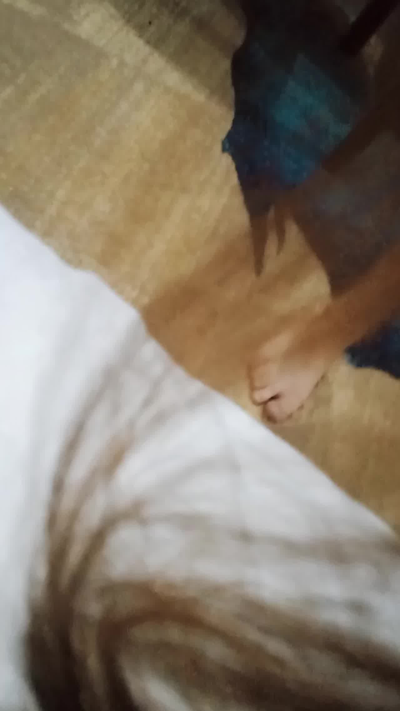  骚货巨臀抽插自动打桩机 的剧照8