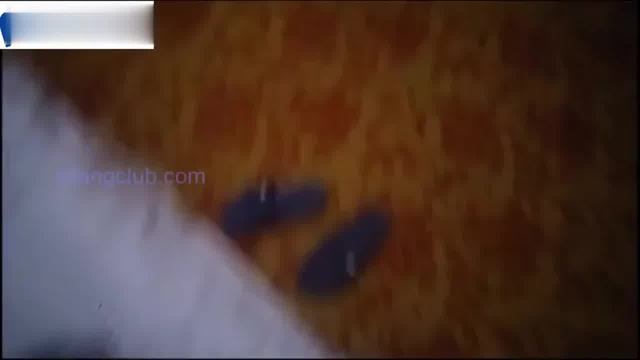  女业务到厕所做爱却来电话!拼命伪装还是忍不住淫叫几声 的剧照3