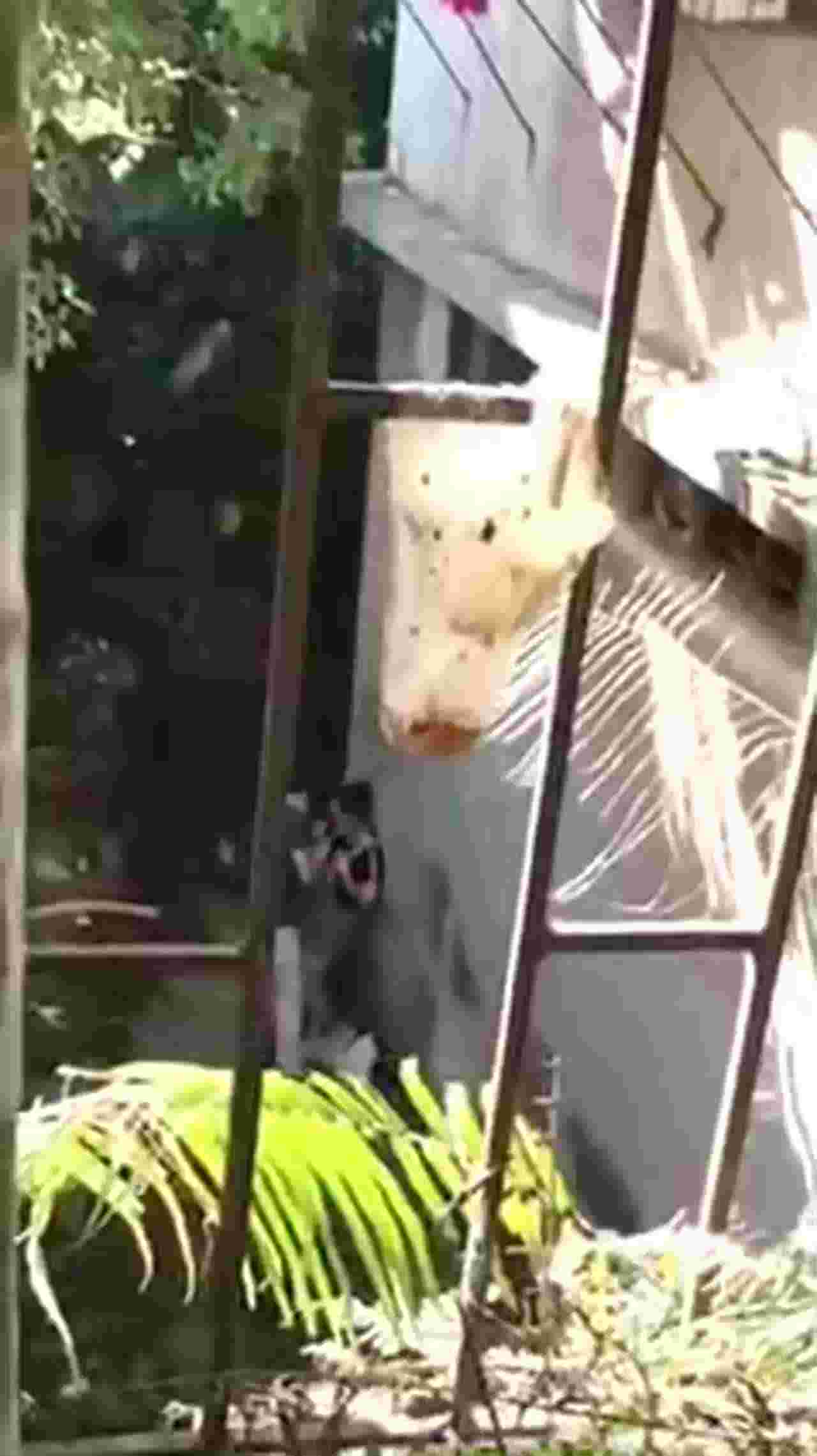  【窗外偷窥】楼下小夫妻吵架吵着吵着直接把衣服脱光了开炮 的剧照1