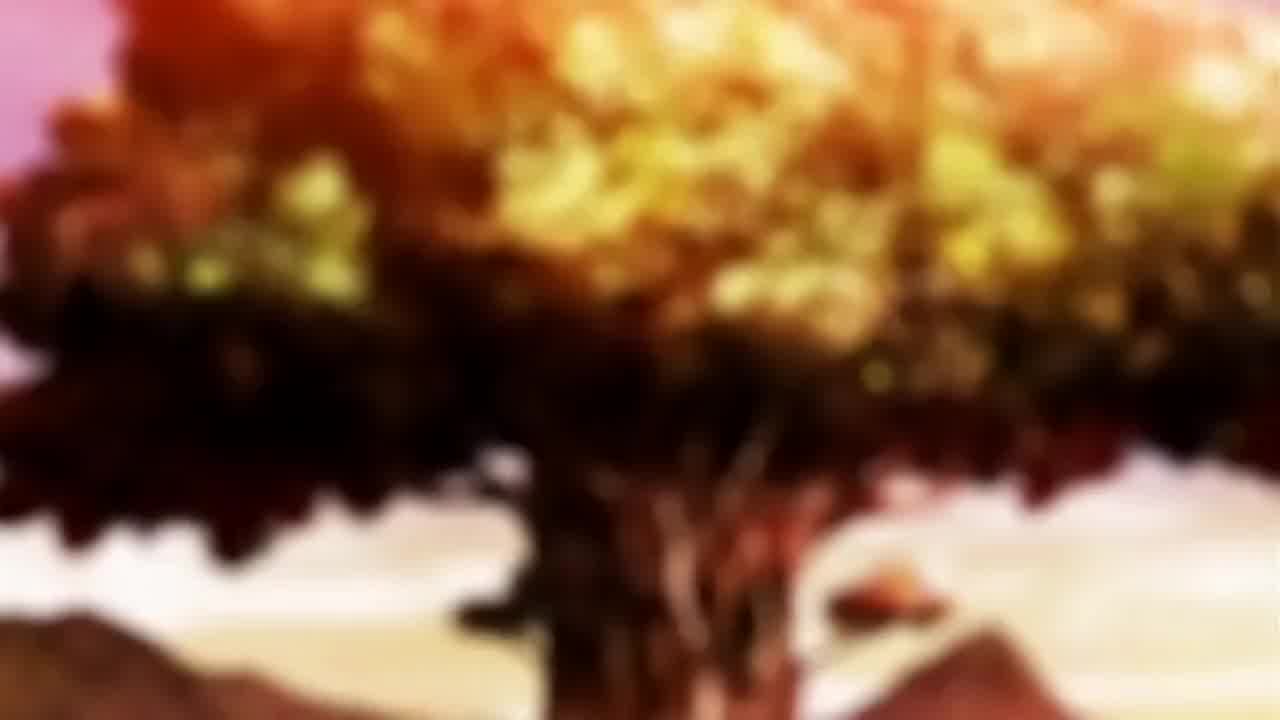  欢迎来到浪荡精灵之林 2 的剧照8