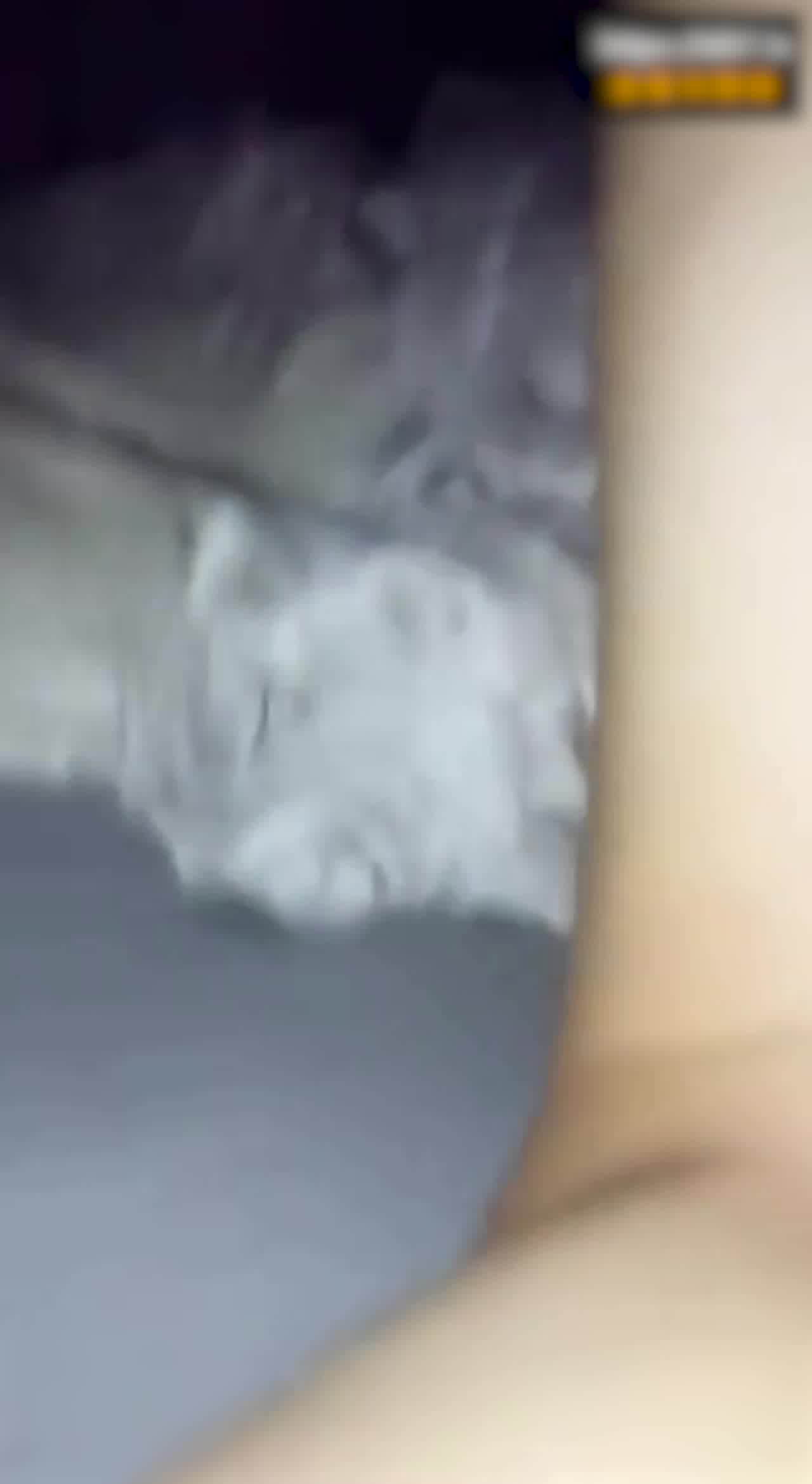  美女主播舔脚舔肛颜射 全方位伺候金主爸爸 的剧照7