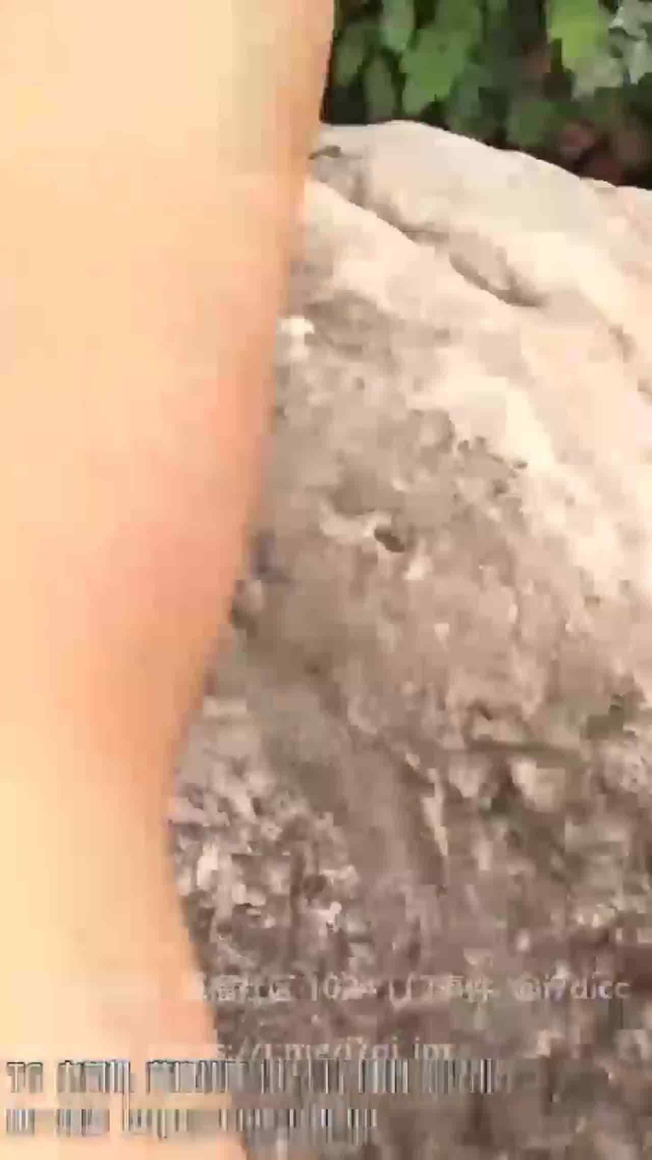  爱奇蒂门事件【浆果儿双马尾妹野外露出做爱】 的剧照5