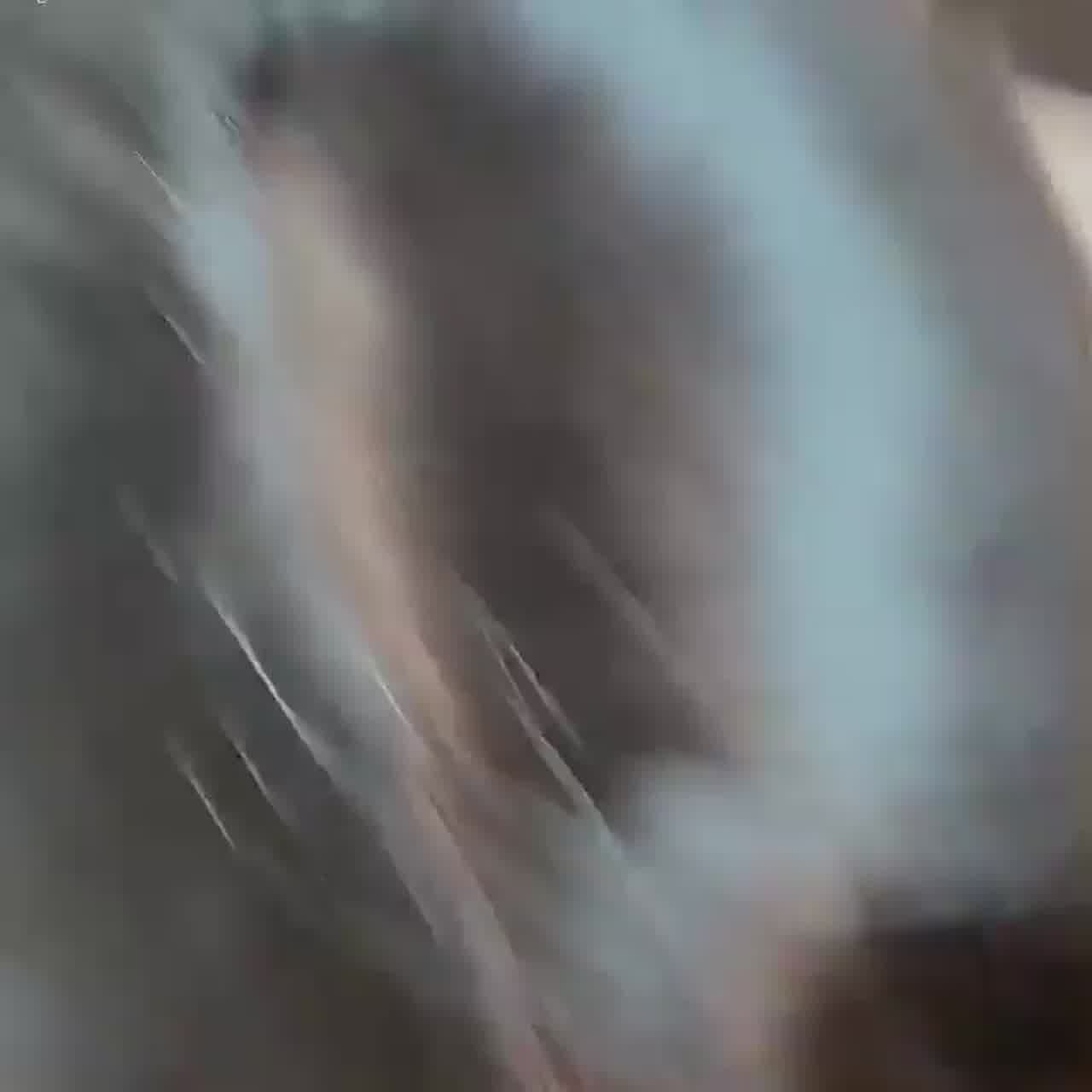  跪地争屌吃 的剧照9