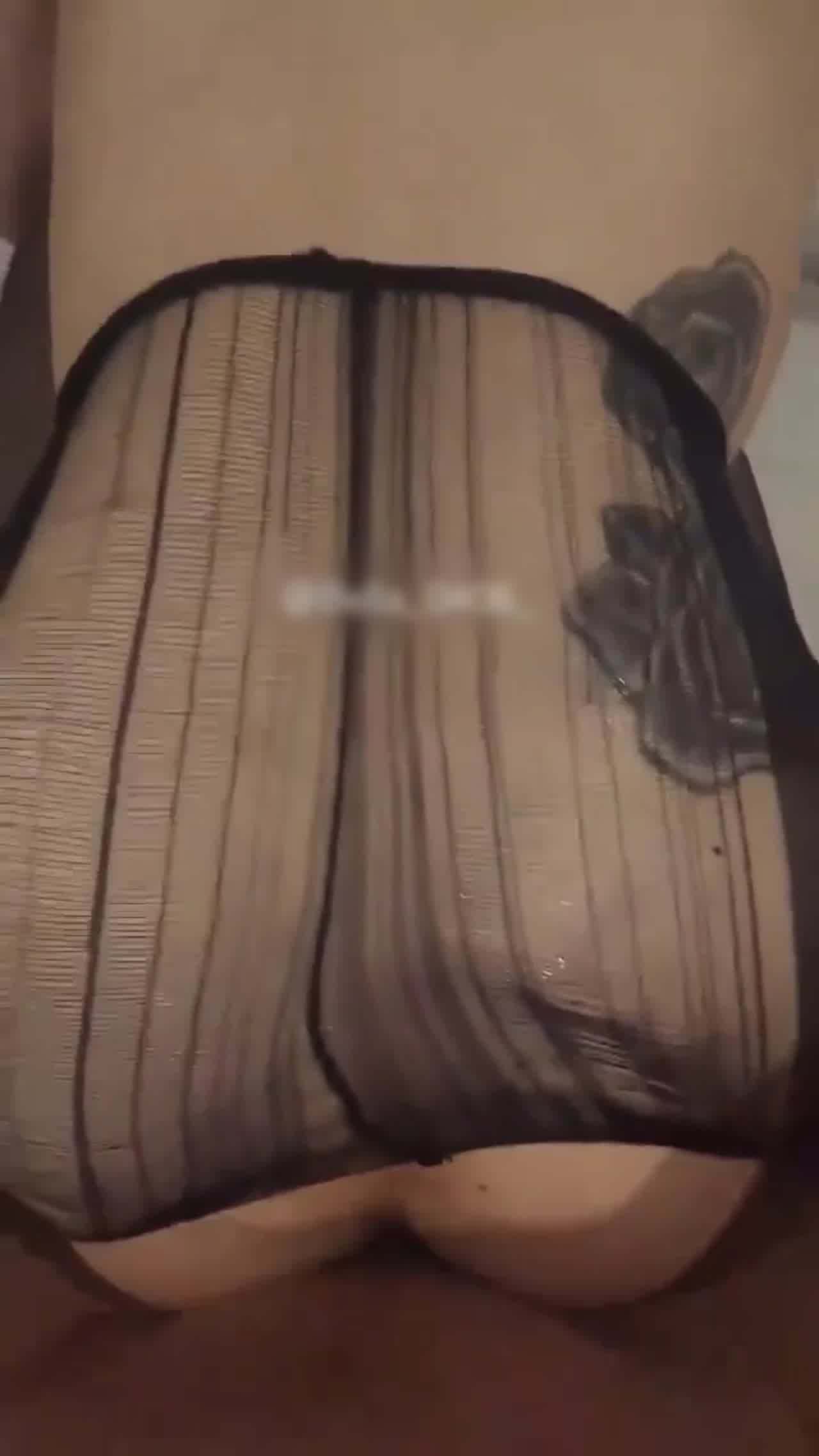  肛门调教！插着肛塞后入！小母狗的叫声真淫荡！ 的剧照2